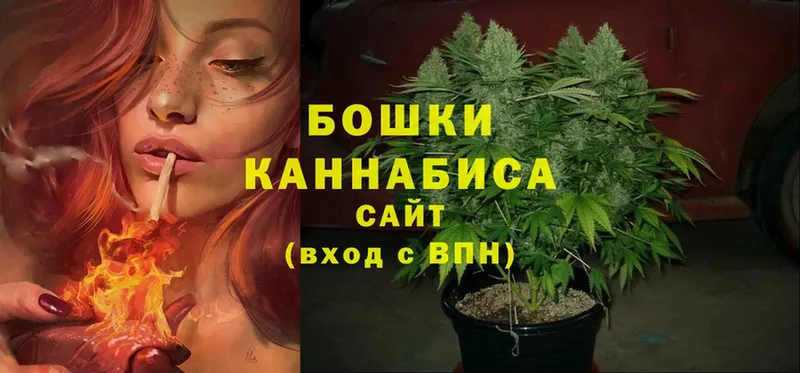 Шишки марихуана White Widow  даркнет Telegram  Александровск 